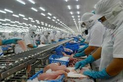 Xuất khẩu thủy sản năm 2021 dự báo cán đích 9 tỷ USD