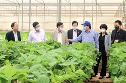 Lạc Dương: Cần phát huy mạnh mẽ tiềm năng sẵn có