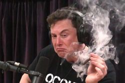 Elon Musk đưa ra giả thuyết kỳ lạ về trí tuệ nhân tạo