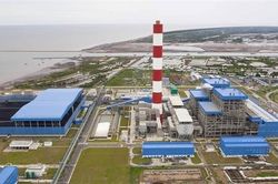 99% nhà máy điện than mới tại Việt Nam không có lợi nhuận