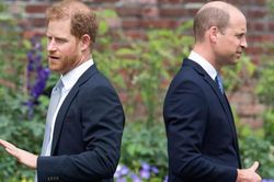 Harry về Mỹ với vợ con, truyền thông phân tích chi tiết chua chát của 2 hoàng tử trong lễ tưởng niệm Công nương Diana
