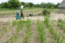 Tên biến thái mò vào tận nhà cưỡng hiếp, cô gái phản ứng tự vệ không ngờ thổi bùng tranh cãi gay gắt trong dư luận