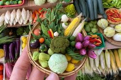 Rau củ làm bằng đất sét
