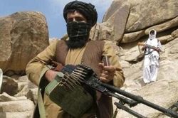 Afghanistan tiêu diệt hàng trăm phần tử Taliban