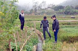 Kiên cố hóa kênh mương mở rộng diện tích sản xuất