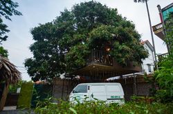 Bỏ 130 triệu để xây nhà trên cây ở ngoại thành Hà Nội