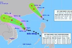 Nguy cơ bão trên Biển Đông: Khẩn trương hoàn thành sơ tán dân trước 16 giờ ngày 7/7