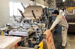 Kim ngạch xuất khẩu sáu tháng tăng hơn 73% so với cùng kỳ