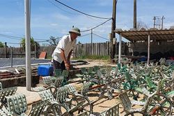 Cựu chiến binh làm giàu trên vùng cát quê hương