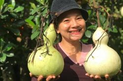 Diễn viên Kiều Trinh: Bỏ phố về rừng tìm an nhiên, tự tại!