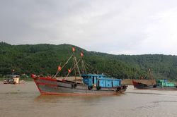 Áp thấp nhiệt đới gần bờ, tỉnh Thanh Hóa cấm biển từ 13 giờ hôm nay