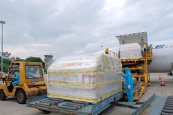 Hơn 97.000 liều vắc xin của Pfizer/BioNtech đã về Việt Nam