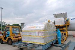 Hơn 97.000 liều vắc xin Pfizer đã về tới Việt Nam