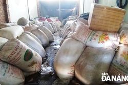 Kho chứa tương ớt gây ô nhiễm môi trường?