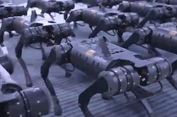 Binh đoàn robot 'hít đất' đều tăm tắp
