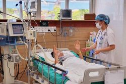 Gia tăng bệnh nhân nhập viện do rắn cắn