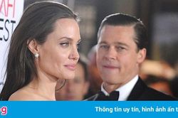 Angelina Jolie muốn cắt đứt quan hệ kinh doanh với Brad Pitt