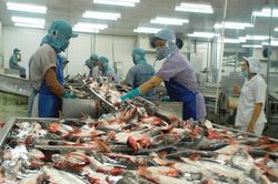 Bất cập hàng thủy sản xuất khẩu qua EU không đủ tiêu chuẩn vào siêu thị trong nước