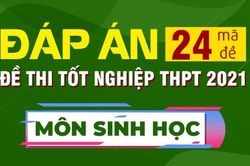 Đáp án đề thi Sinh học Kỳ thi Tốt nghiệp THPT 2021