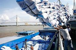 Châu Phi thị trường xuất khẩu nông sản nhiều tiềm năng của Việt Nam