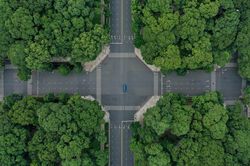Nếu người dân không tuân thủ giãn cách, TP.HCM sẽ vỡ trận