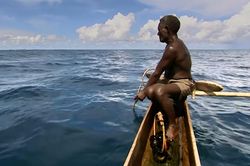 Thổ dân Melanesia bắt cá mập bằng tay không