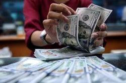 Tỷ giá hôm nay ngày 16/6: USD trung tâm đứng giá sau 3 phiên tăng liên tiếp