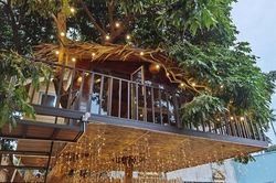 Ngôi nhà trên cây nhãn độc đáo nhất ở Thủ đô, giá chỉ 130 triệu đồng
