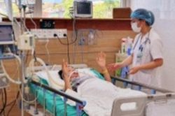 Bệnh nhân bị rắn độc cắn gia tăng