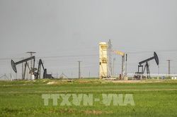 Giá dầu tăng không ảnh hưởng đến phục hồi kinh tế toàn cầu