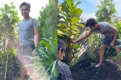 Cường Đô La 'chuẩn chỉnh' người chồng của năm, vừa chăm con khéo lại giỏi làm vườn