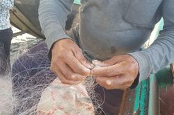 Nam Định: Mùa này cá chẳng đầy khoang