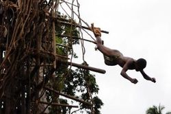 Thổ dân ở Vanuatu nhảy từ tháp 30 m để được tôn trọng