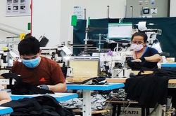 Long An tạm ngưng hoạt động DN không thực hiện '3 tại chỗ'