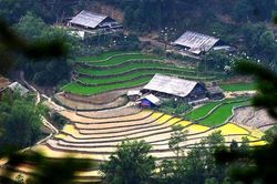 Ruộng bậc thang Sa Pa tuyệt đẹp mùa nước đổ