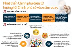 Phát triển Chính phủ điện tử hướng tới Chính phủ số vào năm 2025