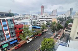 Sẽ tăng mật độ cây xanh đô thị