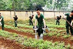 'Thực túc, binh cường' ở Tiểu đoàn Huấn luyện – Cơ độngTin khácGia đình nhiều thế hệ: Lưu giữ, phát huy các giá trị văn hóa truyền thốngChương trình 'Tiếp sức mùa thi': Nhân lên những hành động đẹp