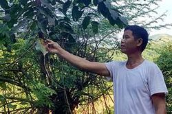 Đồng Giáp: Phát triển và nhân rộng diện tích cây trám đenTin khácChương trình 'Tiếp sức mùa thi': Nhân lên những hành động đẹpSẵn sàng cho kỳ thi tốt nghiệp THPT năm 2021