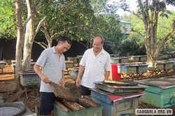 Người truyền cảm hứng nghề nuôi ong