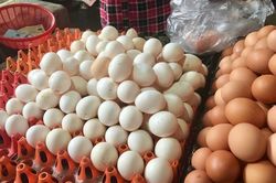 Siêu thị yêu cầu mỗi khách không mua quá 3 vỉ trứng