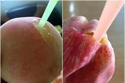 Đào cắm ống hút gần 1 triệu đồng/kg đang gây sốt có gì đặc biệt?
