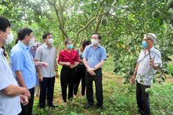 Đoàn công tác Ban Chỉ đạo Trung ương về nông nghiệp, nông dân, nông thôn thăm và làm việc tại xã Phúc Ninh