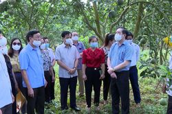 Đoàn công tác Ban Chỉ đạo Trung ương về nông nghiệp, nông dân, nông thôn thăm và làm việc tại xã Phúc Ninh