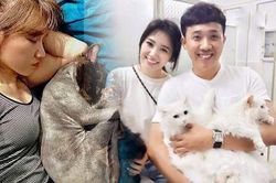 Nói mèo như thành viên gia đình, Hari Won gây tranh cãi gay gắt