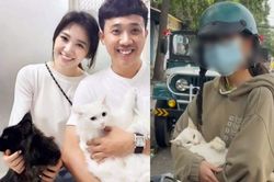 Vụ cô gái chở mèo đi khám bị phạt: Hari Won nói lời ẩn ý, nào ngờ khiến dân tình tranh cãi dữ dội