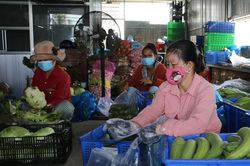 Long An bảo đảm đủ nguồn hàng thiết yếu phục vụ nhân dân