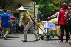 Dịch vụ hỗ trợ hoạt động vận tải đối diện với nhiều khó khăn lớn