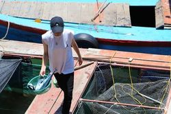 'Phố' mực nhảy đìu hiu mùa dịch