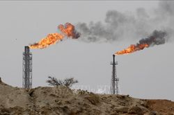 'Sóng ngầm' OPEC đẩy thị trường dầu mỏ vào biến động mới